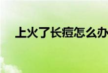 上火了長痘怎么辦（上火了長痘怎么辦）