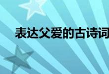 表達父愛的古詩詞（表達父愛的古詩詞）