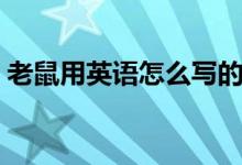 老鼠用英語(yǔ)怎么寫(xiě)的(老鼠用英語(yǔ)怎么說(shuō)讀)