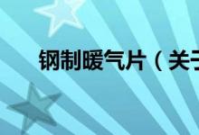 鋼制暖氣片（關于鋼制暖氣片的介紹）