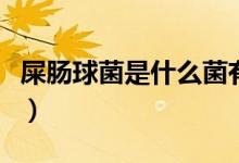 屎腸球菌是什么菌有危險嗎(屎腸球菌是什么)