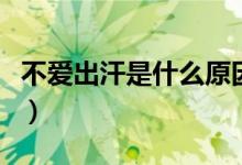 不愛出汗是什么原因呢（不愛出汗是什么體質）