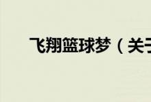 飛翔籃球夢（關(guān)于飛翔籃球夢的介紹）