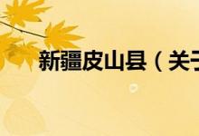 新疆皮山縣（關(guān)于新疆皮山縣的介紹）