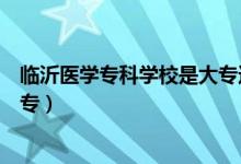 臨沂醫(yī)學(xué)專科學(xué)校是大專還是中專（臨沂醫(yī)專是大專還是中專）