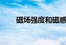 磁場強(qiáng)度和磁感應(yīng)強(qiáng)度（磁場強(qiáng)度）