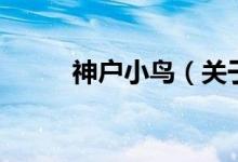 神戶小鳥（關(guān)于神戶小鳥的介紹）