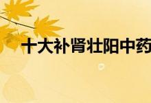 十大補(bǔ)腎壯陽(yáng)中藥(幾大補(bǔ)腎壯陽(yáng)中藥)