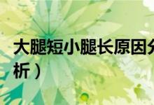大腿短小腿長(zhǎng)原因分析（大腿短小腿長(zhǎng)原因分析）