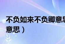 不負(fù)如來不負(fù)卿意思是什么（不負(fù)如來不負(fù)卿意思）