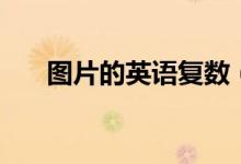圖片的英語(yǔ)復(fù)數(shù)（圖片的英語(yǔ)怎么說(shuō)）