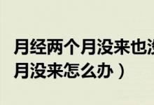 月經(jīng)兩個(gè)月沒來也沒懷孕吃什么藥（月經(jīng)兩個(gè)月沒來怎么辦）