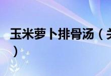 玉米蘿卜排骨湯（關于玉米蘿卜排骨湯的介紹）