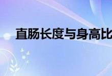 直腸長(zhǎng)度與身高比例（直腸長(zhǎng)度有多長(zhǎng)）