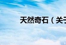 天然奇石（關(guān)于天然奇石的介紹）
