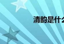 清韻是什么意思（清韻）