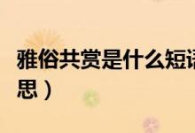 雅俗共賞是什么短語(yǔ)類(lèi)型（雅俗共賞是什么意思）