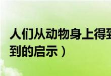 人們從動(dòng)物身上得到啟示（人們從動(dòng)物身上得到的啟示）