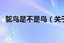 鴕鳥是不是鳥（關于鴕鳥是不是鳥的介紹）