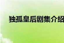 獨(dú)孤皇后劇集介紹（獨(dú)孤皇后劇情介紹）