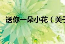 送你一朵小花（關(guān)于送你一朵小花的介紹）
