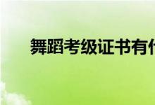 舞蹈考級證書有什么用（可有加分嗎）
