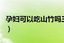 孕婦可以吃山竹嗎三個(gè)月（孕婦可以吃山竹嗎）