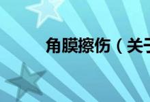 角膜擦傷（關于角膜擦傷的介紹）