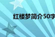 紅樓夢(mèng)簡(jiǎn)介50字左右（紅樓夢(mèng)簡(jiǎn)介）