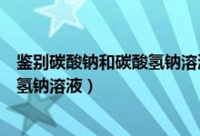 鑒別碳酸鈉和碳酸氫鈉溶液化學(xué)方程式(鑒別碳酸鈉和碳酸氫鈉溶液)