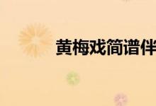 黃梅戲簡譜伴奏（黃梅戲簡介）