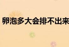 卵泡多大會排不出來（卵泡多大會排出卵子）