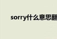 sorry什么意思翻譯（sorry什么意思）