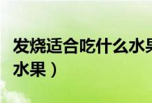 發(fā)燒適合吃什么水果有好處(發(fā)燒適合吃什么水果)