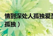情到深處人孤獨(dú)愛至窮時(shí)盡滄桑（情到深處人孤獨(dú)）