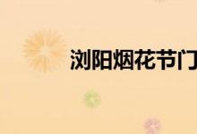 瀏陽煙花節(jié)門票（瀏陽煙花節(jié)）