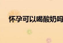 懷孕可以喝酸奶嗎(懷孕可以喝雞湯嗎)
