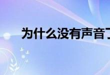 為什么沒(méi)有聲音了（為什么沒(méi)有聲音）