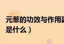 元蔥的功效與作用副作用(元蔥的功效與作用是什么)