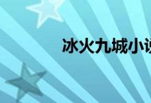 冰火九城小說(shuō)（冰火九重天）