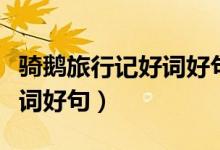 騎鵝旅行記好詞好句感悟摘抄（騎鵝旅行記好詞好句）