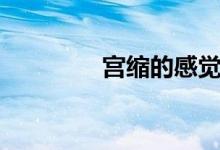 宮縮的感覺(jué)（宮縮的感覺(jué)）