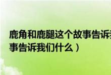 鹿角和鹿腿這個(gè)故事告訴我們什么道理（鹿角和鹿腿這個(gè)故事告訴我們什么）