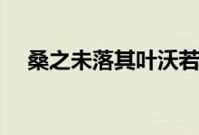 桑之未落其葉沃若于嗟鳩兮(桑之未落)