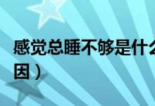 感覺總睡不夠是什么原因（總睡不夠是什么原因）