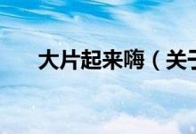 大片起來(lái)嗨（關(guān)于大片起來(lái)嗨的介紹）