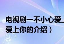 電視劇一不小心愛上你（關(guān)于電視劇一不小心愛上你的介紹）