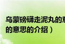 烏蒙磅礴走泥丸的意思（關于烏蒙磅礴走泥丸的意思的介紹）