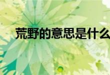 荒野的意思是什么三年級(jí)（荒野的意思）