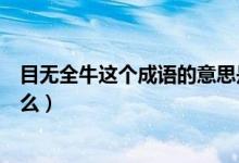 目無全牛這個成語的意思是什么（目無全牛成語的意思是什么）
